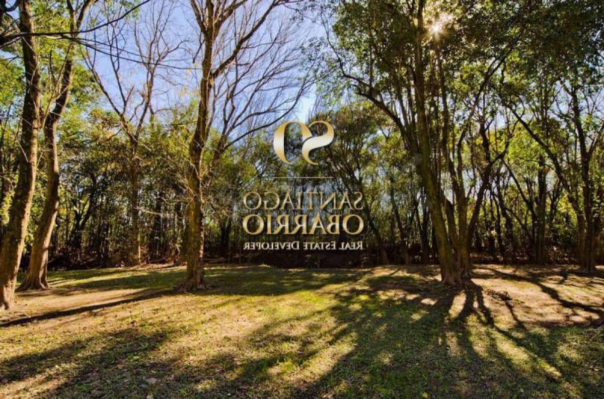  Land in Buenos Aires, Argentina No. 113573