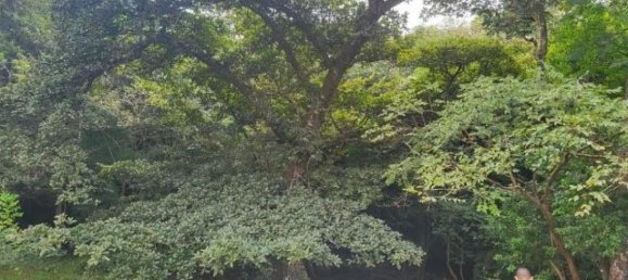  Land in Tilaran, Costa Rica No. 1777 5