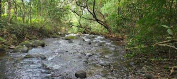  Land in Tilaran, Costa Rica No. 1777 2