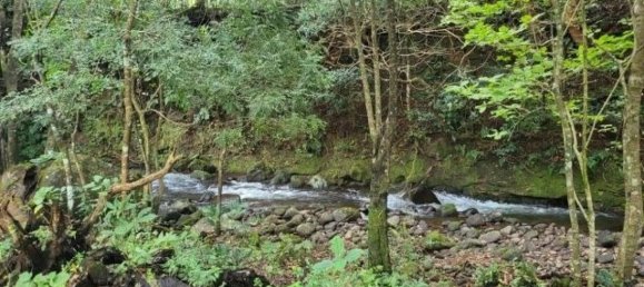  Land in Tilaran, Costa Rica No. 1777 4