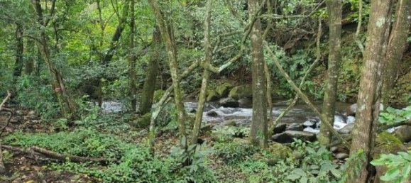  Land in Tilaran, Costa Rica No. 1777 3