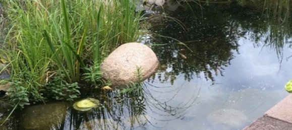 Земельный участок в Мальсдорф, Германия № 16468 2