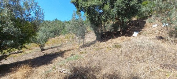 Дом с 1 спальней в Сертан, Португалия № 169147 4