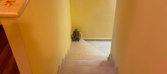 Villa T4 em Frosinone, Italy N.º 81962 9