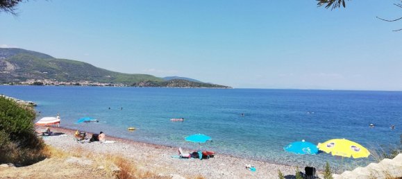 164m² Property in Elis, Greece No. 3341 28