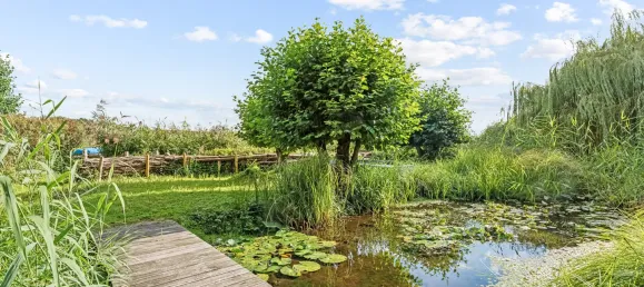 Grundstück in Dahme-Spreewald, Germany, Nr. 327867 4