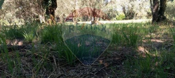  قطعة أرض في Avelas de Cima, Portugal 620متر مربع رقم 64349 4