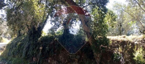  قطعة أرض في Avelas de Cima, Portugal 620متر مربع رقم 64349 5