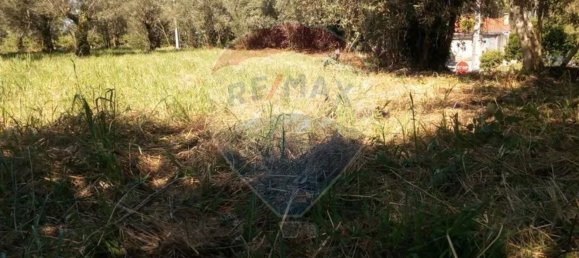  قطعة أرض في Avelas de Cima, Portugal 620متر مربع رقم 64349 3