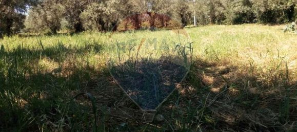  قطعة أرض في Avelas de Cima, Portugal 620متر مربع رقم 64349 6