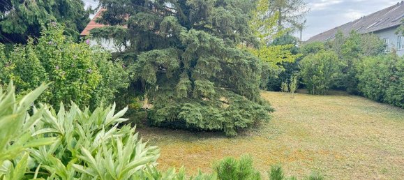 2 rooms House in Vienna, Austria No. 188976 2