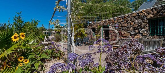 3 bedrooms House in San Miguel de Abona, Spain No. 129980 10