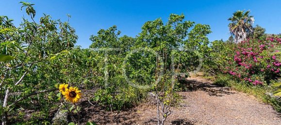 3 bedrooms House in San Miguel de Abona, Spain No. 129980 21