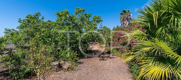 3 bedrooms House in San Miguel de Abona, Spain No. 129980 19