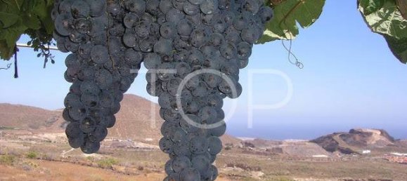 3 bedrooms House in San Miguel de Abona, Spain No. 129980 28