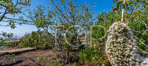 3 bedrooms House in San Miguel de Abona, Spain No. 129980 23