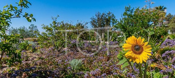 3 bedrooms House in San Miguel de Abona, Spain No. 129980 32