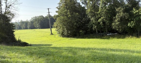  قطعة أرض في Hohenzell, Austria رقم 13693 2