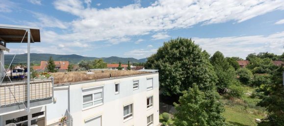 1 غرف نوم بانتهاوس في Heidelberg, Germany رقم 238494 4