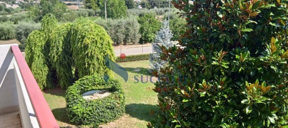 7غرفة فيلا في Alba Adriatica, Italy رقم 297434 38