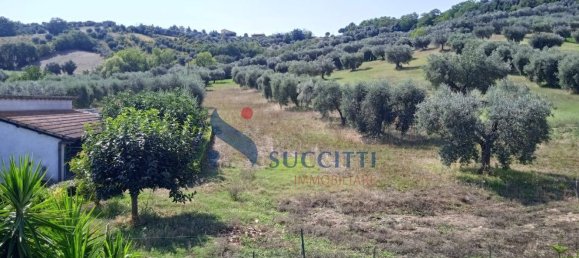 7غرفة فيلا في Alba Adriatica, Italy رقم 297434 40