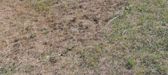 3 Schlafzimmer Haus in Neuvy-le-Roi, France, Nr. 63246 10