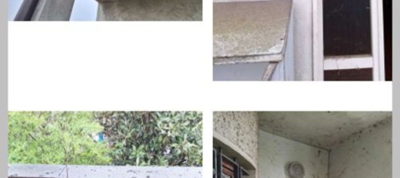 5-salle Appartement à Fiesco, Italy No. 333731 34