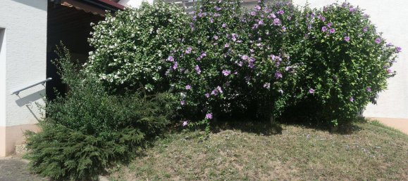 4 غرف نوم تاون هاوس في Boblingen, Germany رقم 236467 6