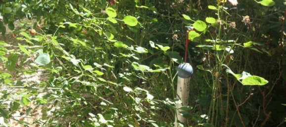 4 غرف نوم تاون هاوس في Boblingen, Germany رقم 236467 18