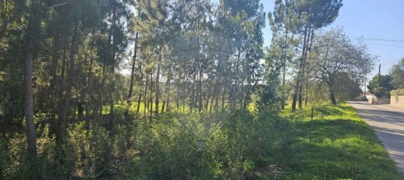 2000m² Land in Leiria, Portugal No. 81729 6