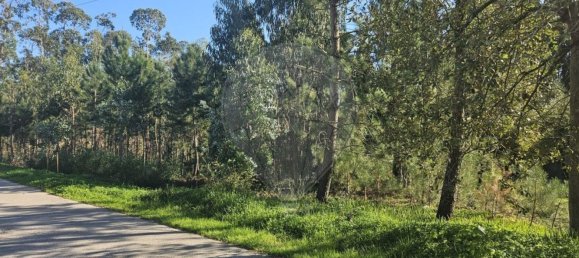 2000m² Land in Leiria, Portugal No. 81729 3