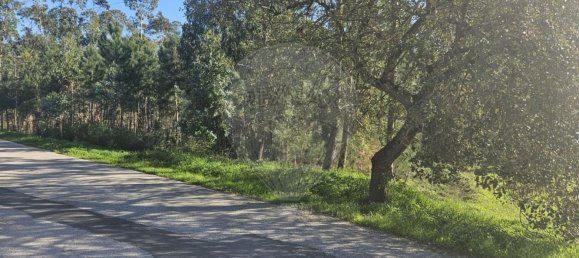 2000m² Land in Leiria, Portugal No. 81729 2