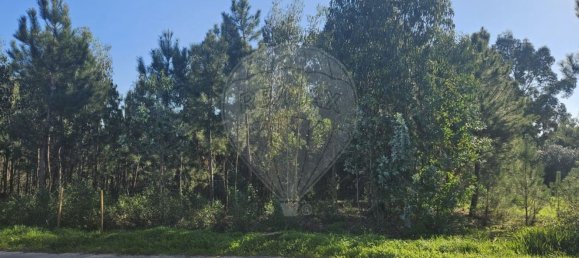 2000m² Land in Leiria, Portugal No. 81729 5