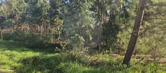 2000m² Land in Leiria, Portugal No. 81729 4