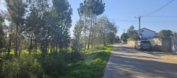 2000m² Land in Leiria, Portugal No. 81729 7