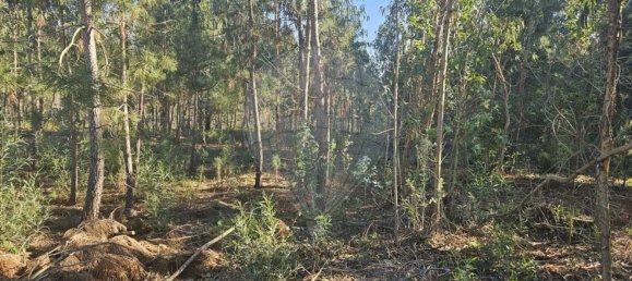 2000m² Land in Leiria, Portugal No. 81729 8