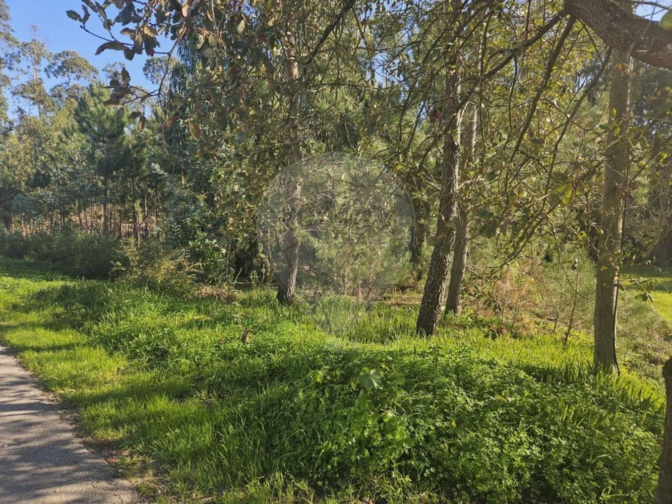 2000m² Land in Leiria, Portugal No. 81729