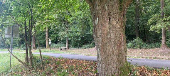 Terreno em Lippe, Germany N.º 369792 5