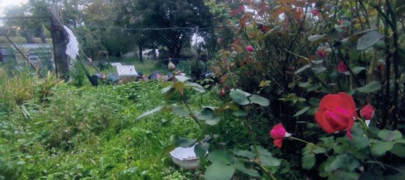 3 bedrooms House in Bruay-sur-l'Escaut, France No. 219145 16