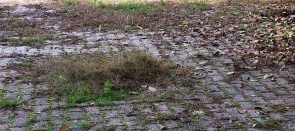 7 bedrooms Apartment in Terni, Italy No. 49623 24