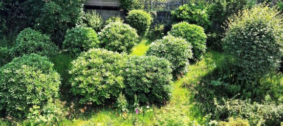 2 bedrooms Apartment in Wuppertal, Germany No. 359169 22