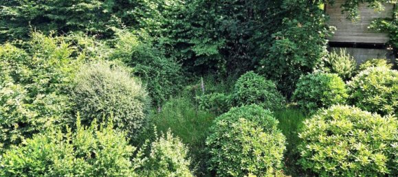 2 bedrooms Apartment in Wuppertal, Germany No. 359169 21