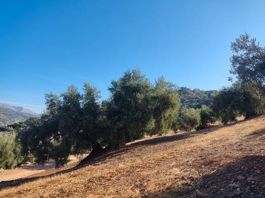  قطعة أرض في Iznajar, Spain 13727متر مربع رقم 268262