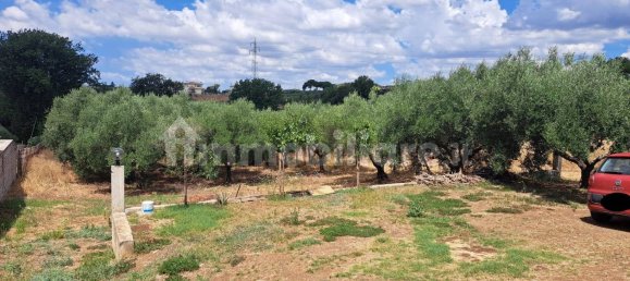 2 bedrooms Apartment in Lanuvio, Italy No. 284631 47