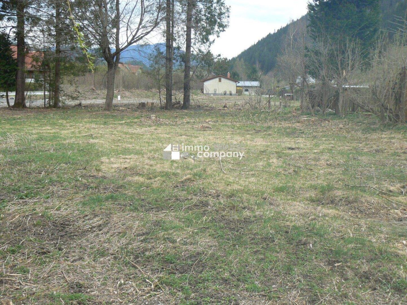  Land in Neuberg an der Murz, Austria No. 163231