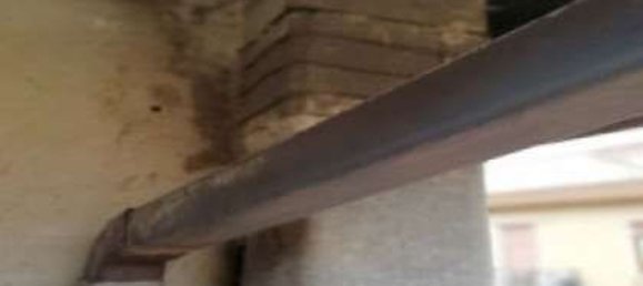 4-Zimmer Wohnung in Rome, Italy, Nr. 12885 10