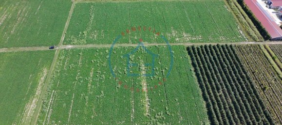  Land in Castelbaldo, Italy No. 327221 13