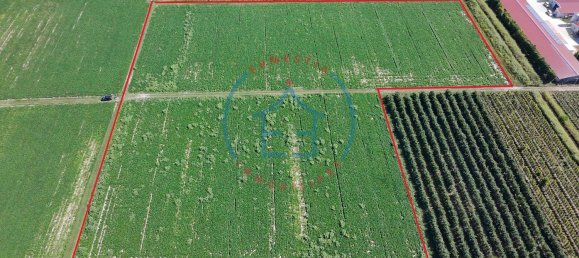  Land in Castelbaldo, Italy No. 327221 12