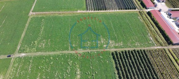  Land in Castelbaldo, Italy No. 327221 14