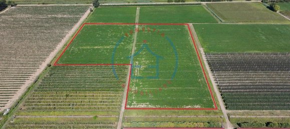  Land in Castelbaldo, Italy No. 327221 16